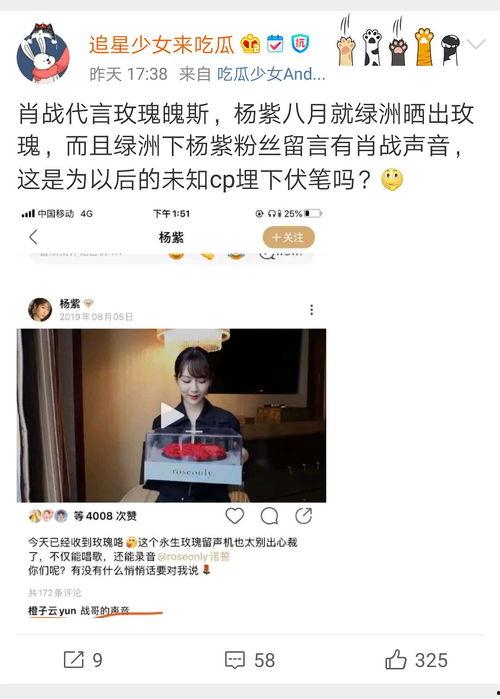 吃瓜营销号娱乐圈,吃瓜营销号背后的真相与风云