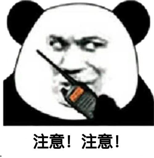 娱乐吃瓜酱学不进去了,沉迷八卦无法自拔，学习之路受阻