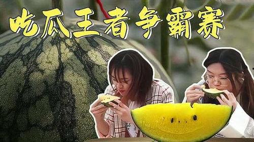 潇洒娱乐吃瓜者,潇洒吃瓜者的八卦盛宴