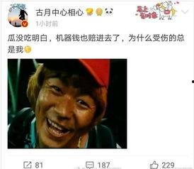 娱乐圈吃瓜大鹅微博,揭秘娱乐圈幕后故事，带你领略明星真实生活