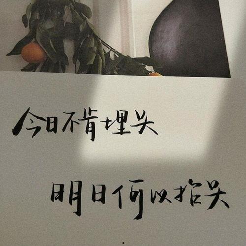娱乐吃瓜酱励志文案图片,励志文案与图片的视觉盛宴