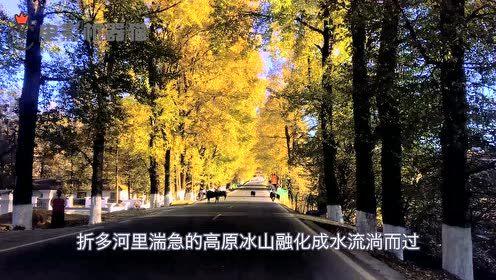 娱乐吃瓜君别墅,娱乐吃瓜君带你探索别墅圈层活动魅力”