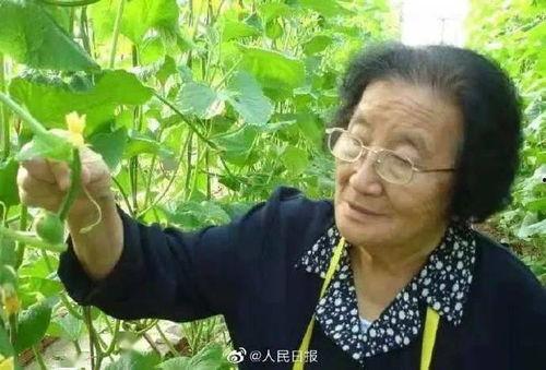 娱乐吃瓜小将配音是谁,幕后配音者是谁？