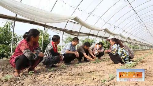 吃瓜娱乐封面怎么做的视频,短视频封面设计攻略