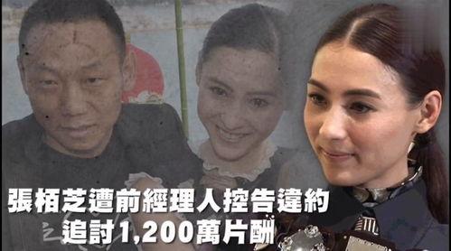 娱乐瓜吃不停,明星八卦一网打尽！